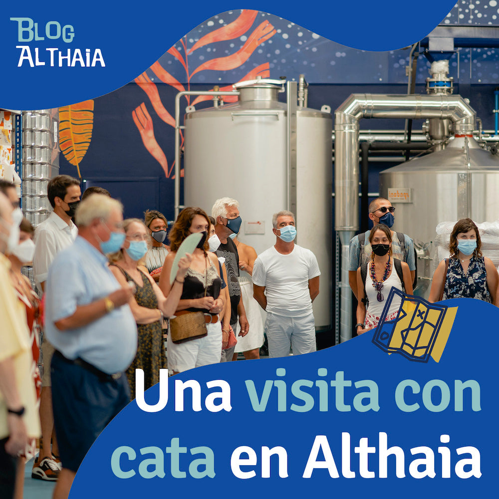 Una visita guiada con cata en nuestra fábrica de cervezas