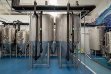 Cargar imagen en el visor de la galería, Cata y visita guiada por la fábrica de cerveza Althaia.
